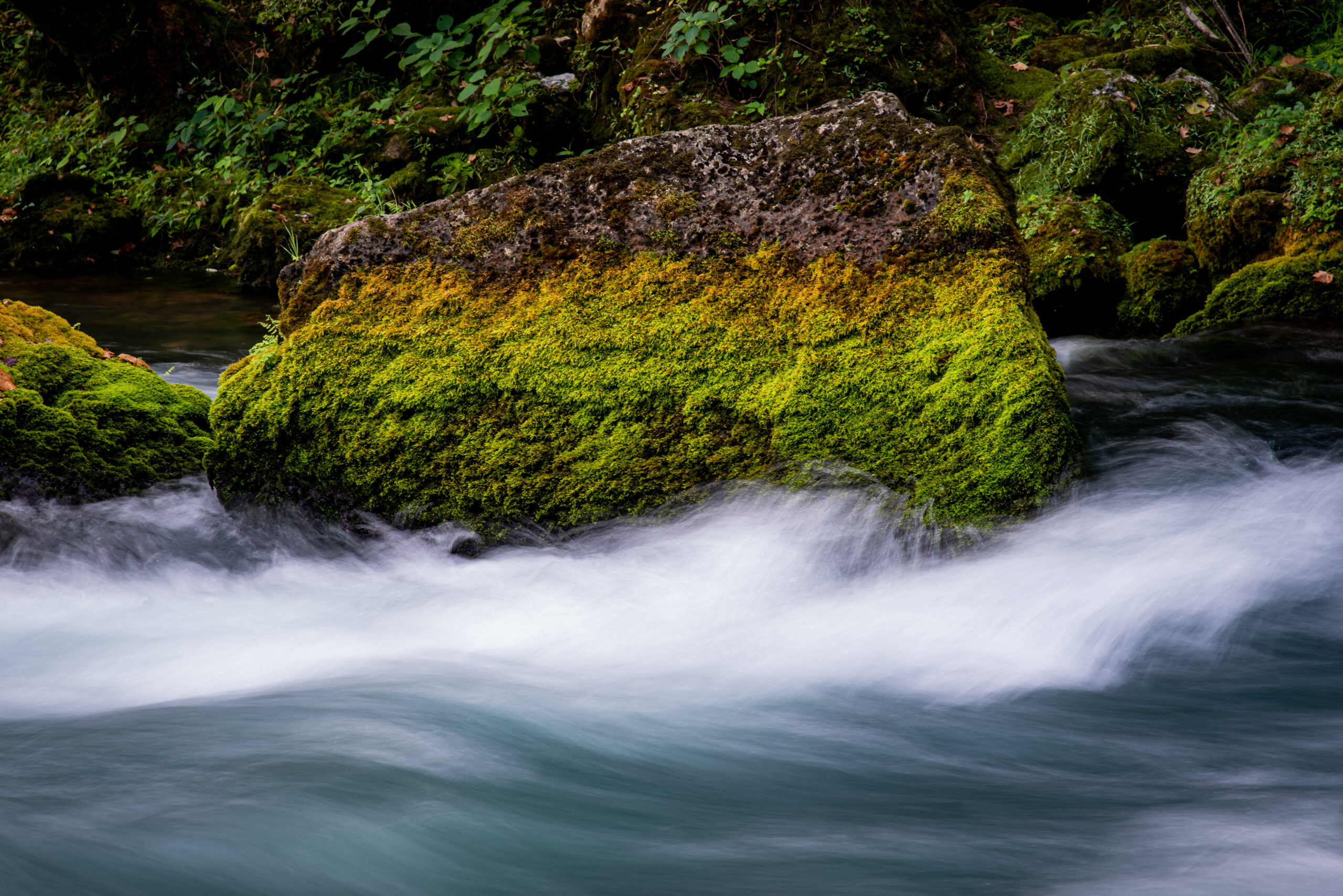 Moss Covered Rock in a Spring